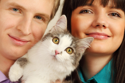 Eharmony dating a veterinarian