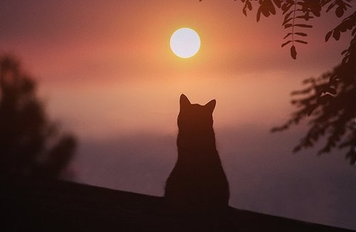 [Image: New-day.jpg]