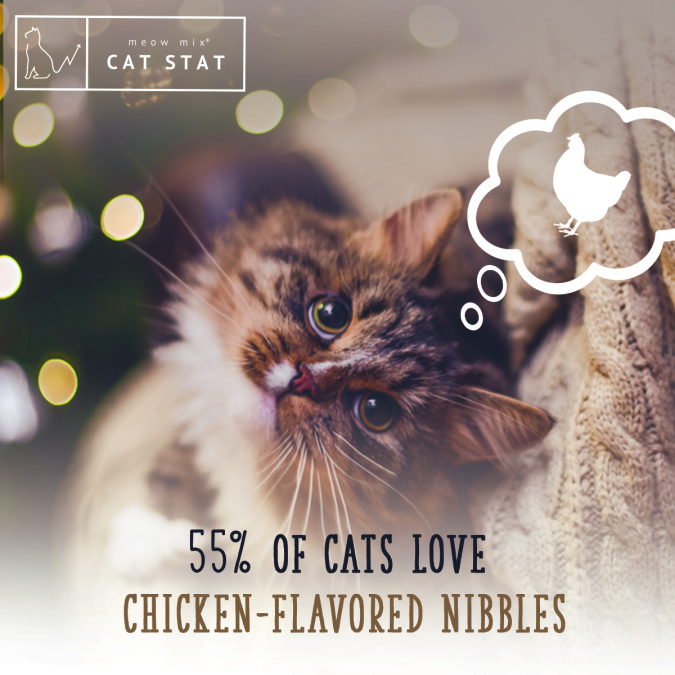 Happy Healthy Cat Month: Show You And Your Cat Are Purrfect Together
