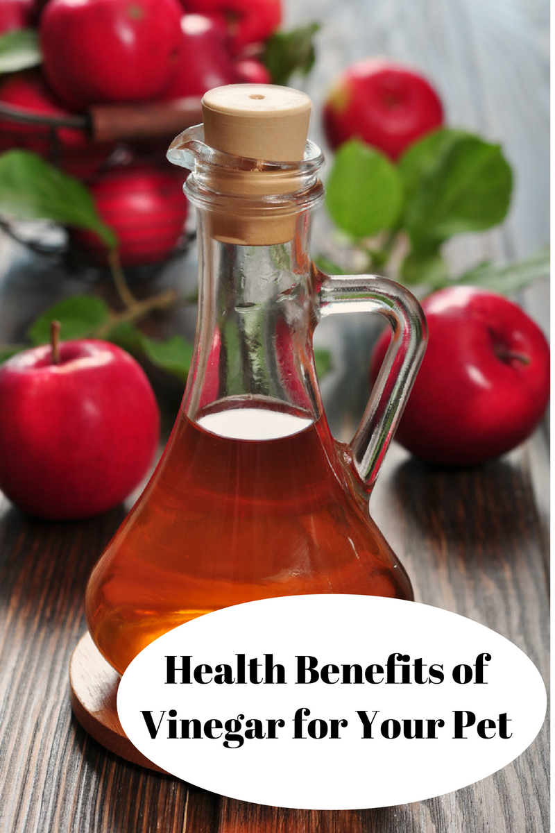 Vinegar: Pantry Staple For Your Pet’s Health