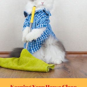Easy Housekeeping Tips for Cat Owners