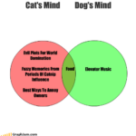 Cat Humor:  The Cat Mind vs. The Dog Mind