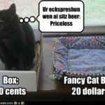 Cat Humor: Priceless