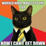 Cat Humor:  Climbing The Corporate Ladder