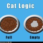 Cat Humor:  Empty Dish