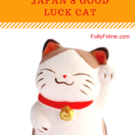 Maneki Neko: Japan’s Good Luck Cat