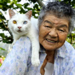 Variety Of Cat Lovers:  A Grandmother And Her Feline Companion