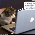 Cat Humor:  Where The Wild Things Aren’t