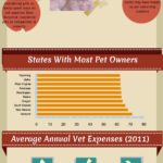 Pet Ownership Statistics:  Where The Pets Are And Aren’t