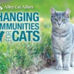 Alley Cat Allies Taking Message On The Road