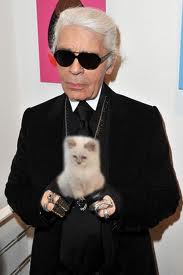 Cat Stories How Cats Influence Fashion