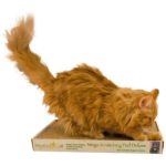 Product Giveaway:  Cat Scratch ‘n Pad