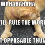 What If Cats And Dogs Had Opposable Thumbs Day