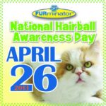 National Hairball Awareness Day:  What You Need To Know