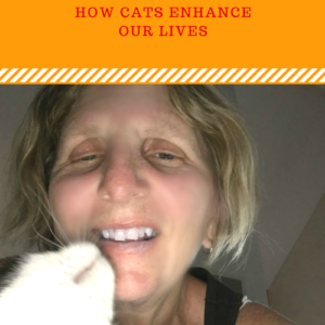 National Pet Day: How Cats Enhance Our Lives