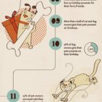 20 Facts About Pet Owners (Infographic)