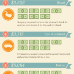 10 Common And Expensive Pet Injuries (Infographics)