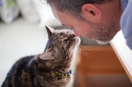 Senior Cat Behavioral Changes