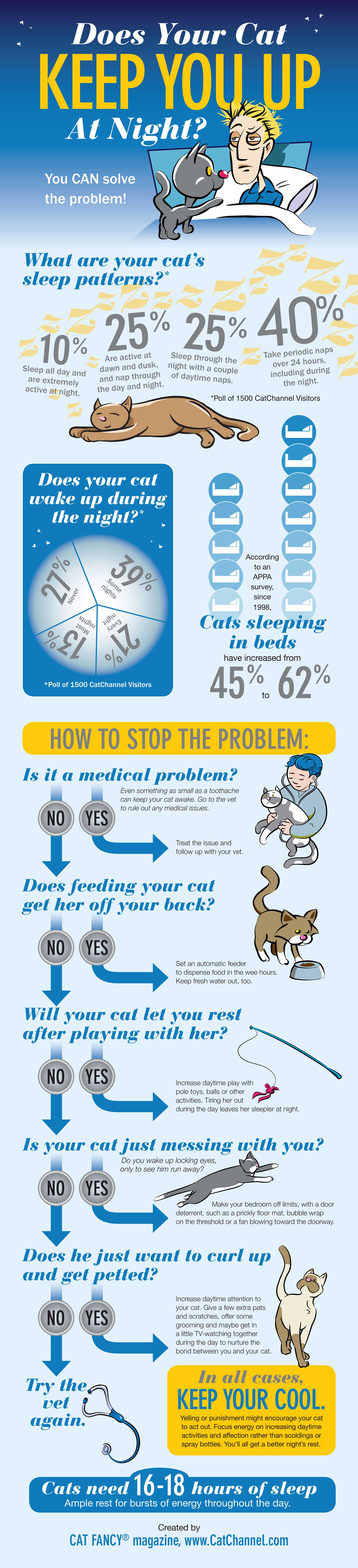 Cat Sleep Patterns (Infographic)