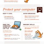 Cat Proofing Your Computer (Infographic)