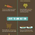 Pet Nutrition 101 (Infographic)