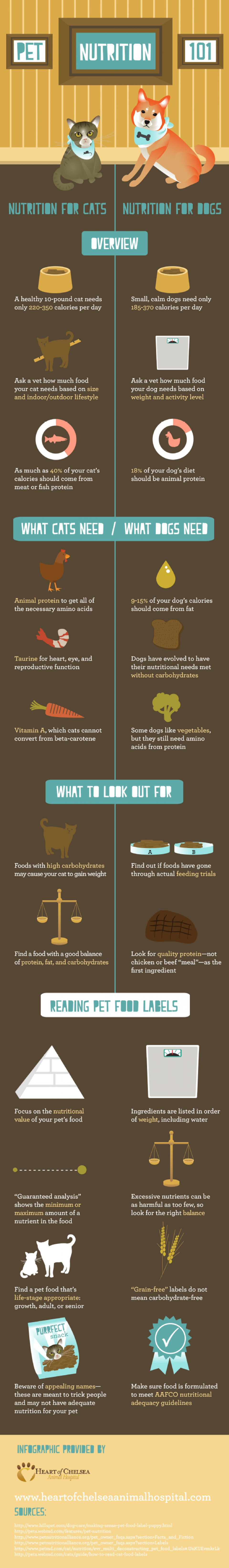 Pet Nutrition 101 (Infographic)