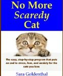 E-Book Giveaway:  No More Scaredy Cat