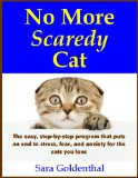 E-Book Giveaway:  No More Scaredy Cat