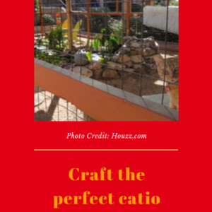 Catios: Creating Best Of Both Worlds For Cats