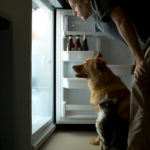 Treats You Can Share With Your Cat