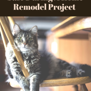 Remodelling and Cats: Tips to Keep Your Cat Safe