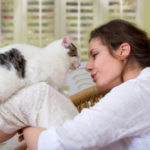 Effective Communication WIth Cats