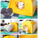 26 Ways To Make Living With A Cat Easier