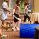 BlogPaws Day One