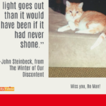 Honor A Pet’s Memory: Special Ways To Remember Him
