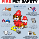 Pet Fire Safety Tips (Infographic)