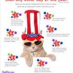 4th Of July Pet Safety Tips (infographic)