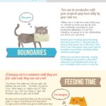 Cat Infographic: Working From Home