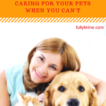 Estate Planning For Pets