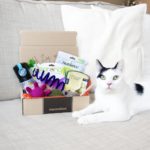 Meowbox Giveaway: Enter To Win