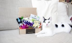 Meowbox Giveaway: Enter To Win