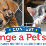 Change A Pet’s Life Contest