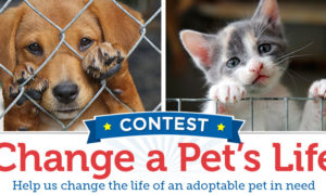 Change A Pet’s Life Contest
