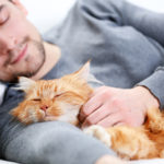 Millennials: Changing Trends In Pet Ownership