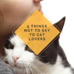 Warning: 5 Things NOT To Say To Cat Owners