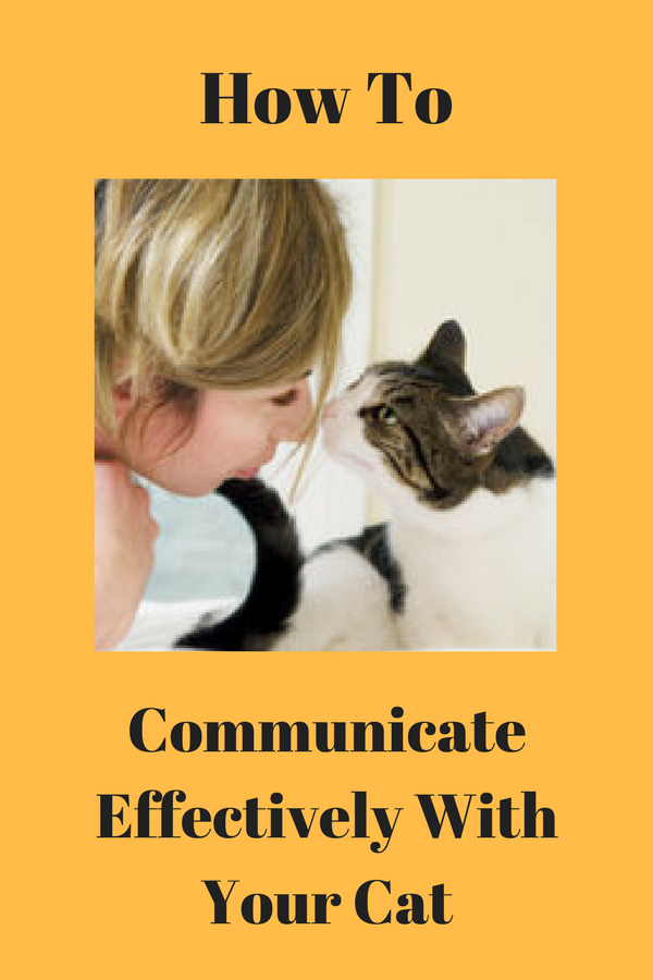 communicating with cats