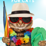 Vacation Planning Tips For Cats-Maximize Human Time Away