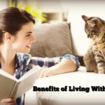 5 Benefits of Living With A Cat