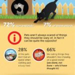 Cat Behavior:  What Scares Your Pet?