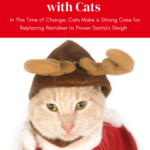 Christmas Cat Humor: Santa Should Use Cats Rather Than Reindeer